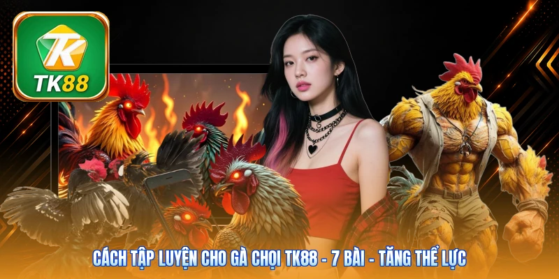 Cách Tập Luyện Cho Gà Chọi Tk88 | 7 Bài - Tăng Thể Lực Cách Tập Luyện Cho Gà Chọi Tk88 | 7 Bài - Tăng Thể Lực