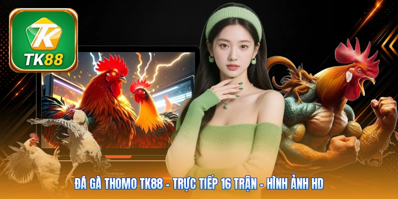 Đá Gà Thomo Tk88 | Trực Tiếp 16 Trận - Hình Ảnh HD Đá Gà Thomo Tk88 | Trực Tiếp 16 Trận - Hình Ảnh HD