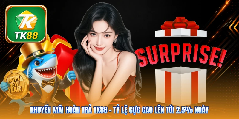 Khuyến Mãi Hoàn Trả TK88 | Tỷ Lệ Cực Cao Lên Tới 2.5% Ngày Khuyến Mãi Hoàn Trả TK88 | Tỷ Lệ Cực Cao Lên Tới 2.5% Ngày